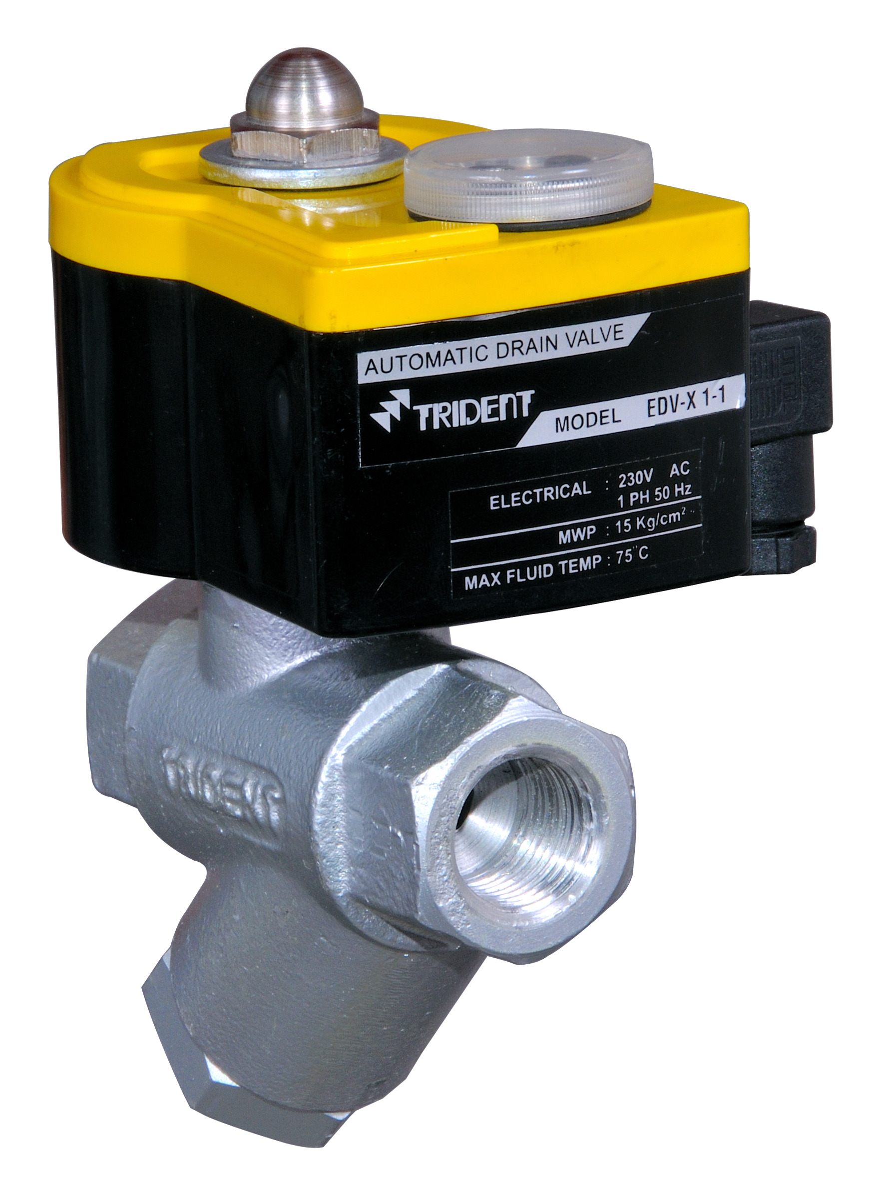 Auto Drain Valve